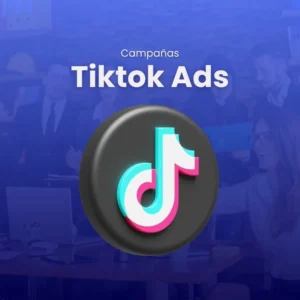 TikTok Ads